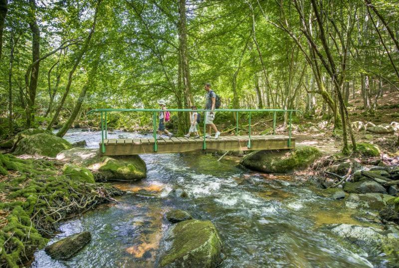 Saint-Priest-Bramefant Studio En Auvergne Le Ruisseau 아파트 외부 사진