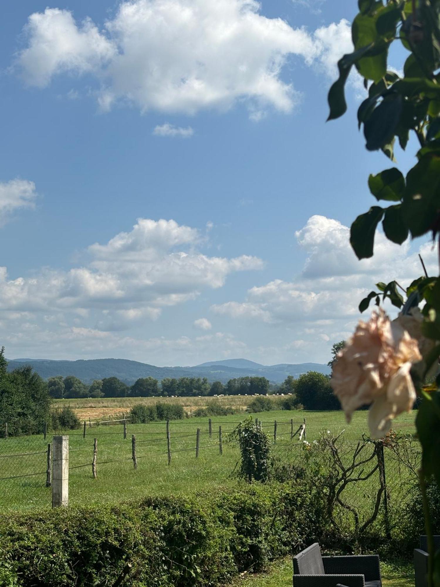 Saint-Priest-Bramefant Studio En Auvergne Le Ruisseau 아파트 외부 사진